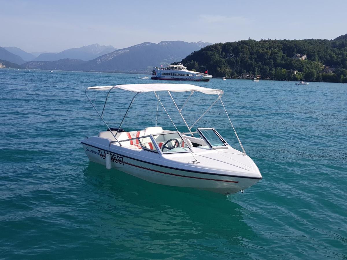 100 Geneve Joli T2 Avec Place De Parking Privee アヌシー エクステリア 写真